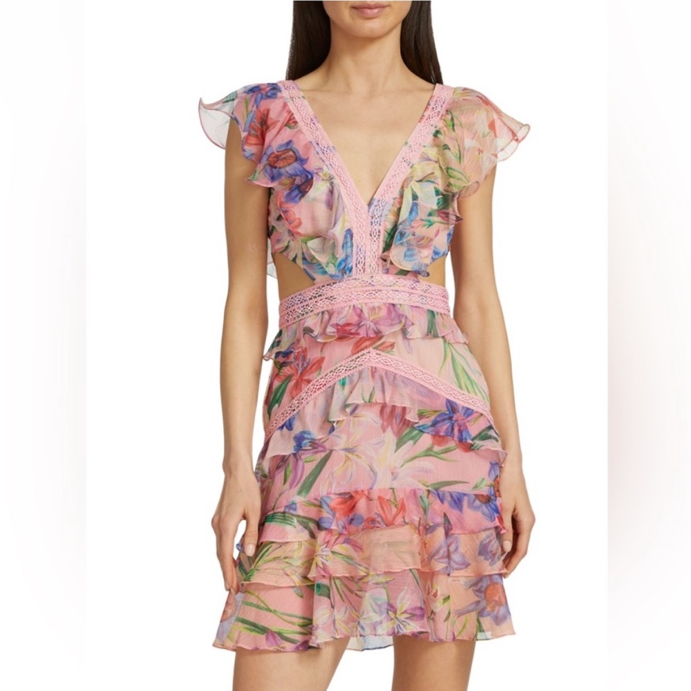 NWT PatBo Iris Floral Ruffle Minidress 4